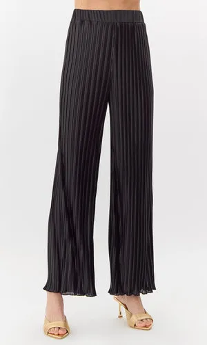 Randal Pleated Wide Leg Pant