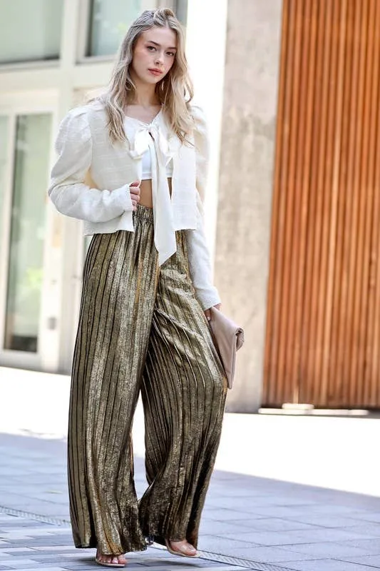 Silver Wide Leg Pants