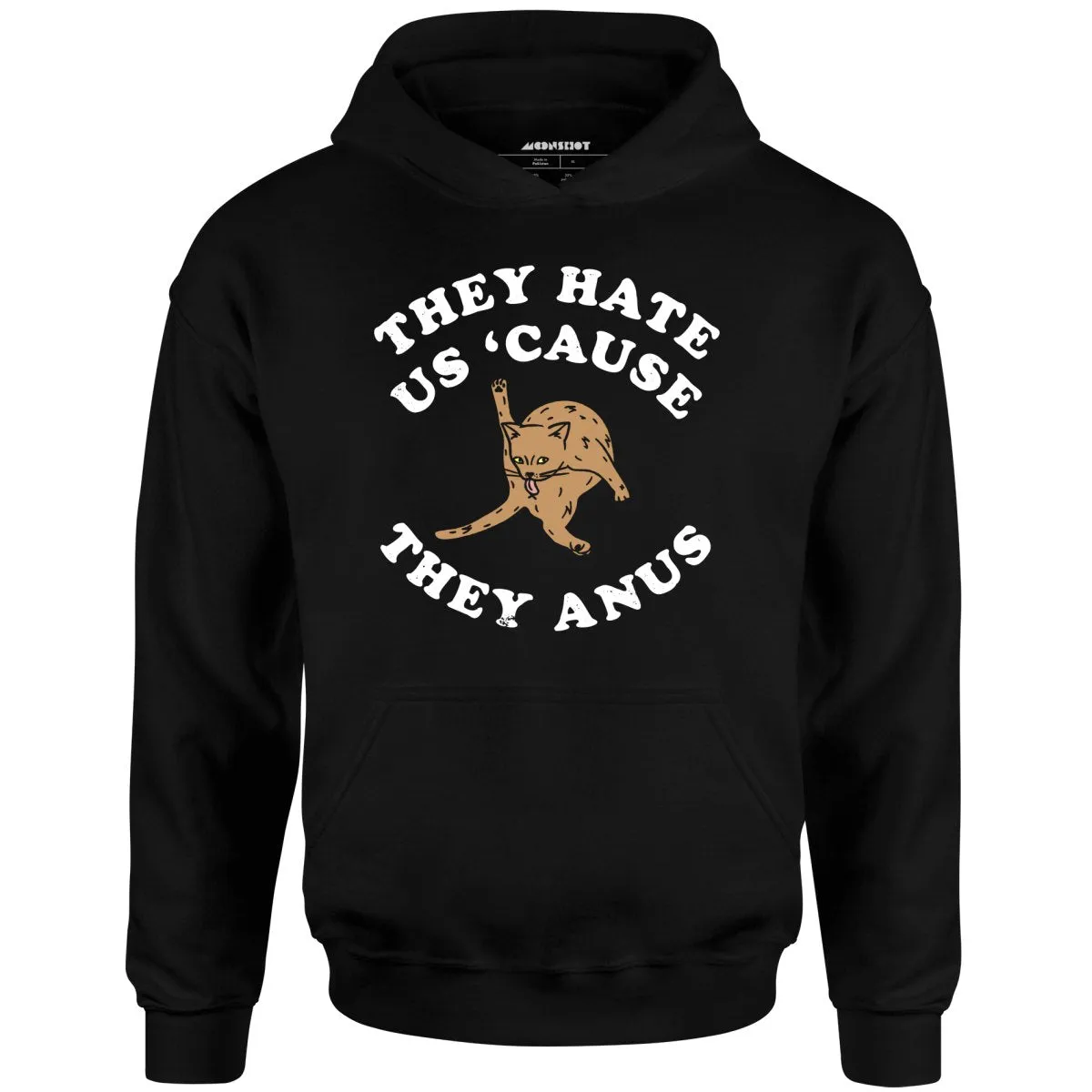 They Hate Us Cause They Anus - Unisex Hoodie