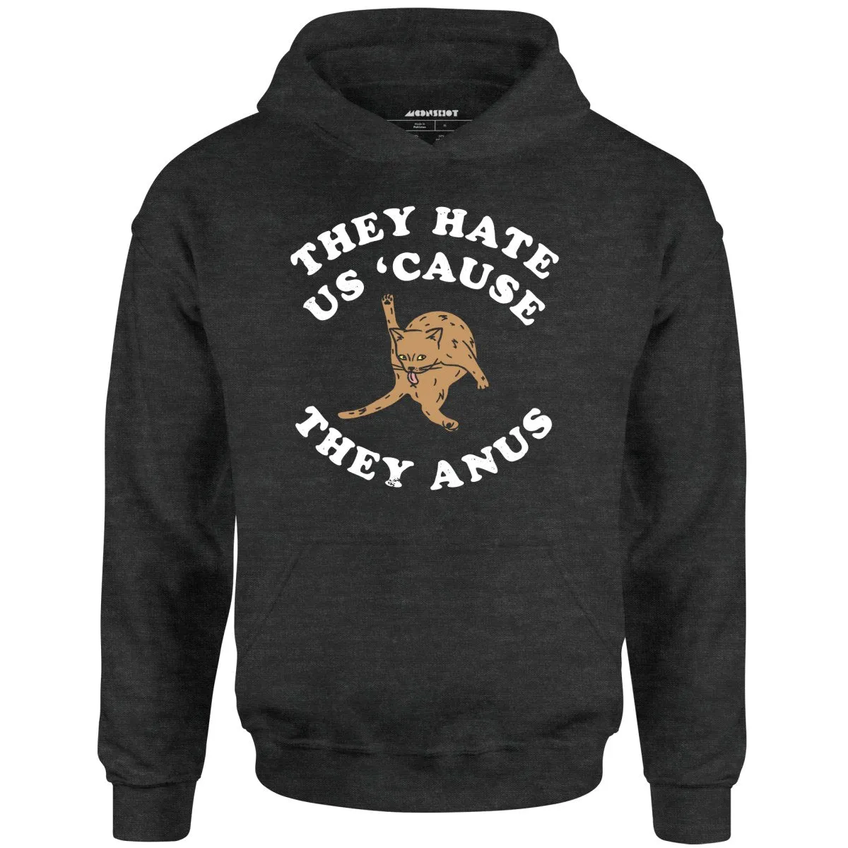 They Hate Us Cause They Anus - Unisex Hoodie